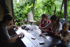 dsc02584.jpg