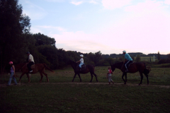 imag0081.jpg