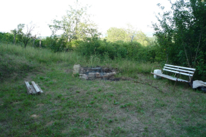 2009 Aquaridák