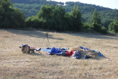 p13-1.jpg