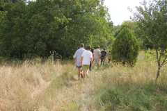 p13-24.jpg