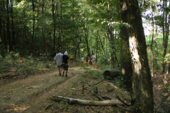 p13-26.jpg