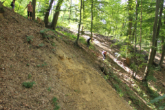 p13-27.jpg