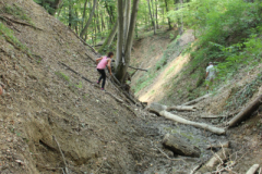 p13-29.jpg