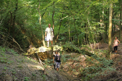 p13-42.jpg
