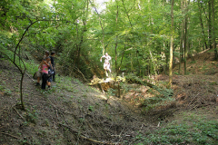p13-43.jpg