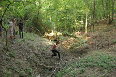 p13-44.jpg