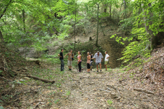 p13-46.jpg