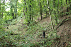p13-47.jpg