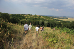 p13-49.jpg