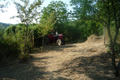 p13-52.jpg