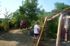 p13-53.jpg