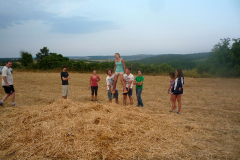 p13-66.jpg