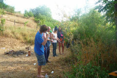 p13-85.jpg