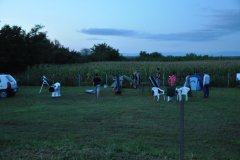 DSC_2513.JPG