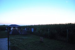 DSC_2671.JPG