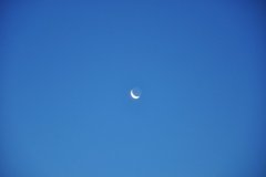 DSC_2676.JPG