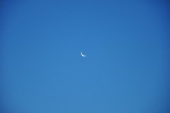 DSC_2712.JPG