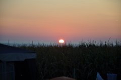 DSC_2747.JPG
