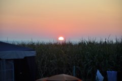 DSC_2748.JPG