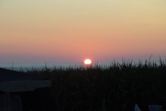 DSC_2749.JPG