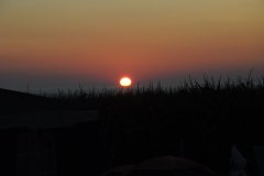 DSC_2750.JPG