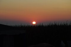 DSC_2753.JPG