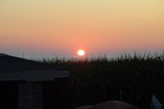 DSC_2755.JPG