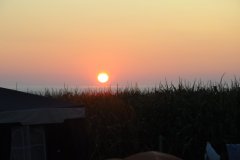 DSC_2758.JPG