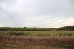 img_5629.jpg