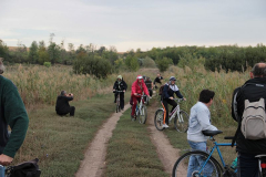 img_5633.jpg