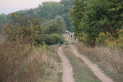 img_5641.jpg