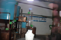 img_5667.jpg