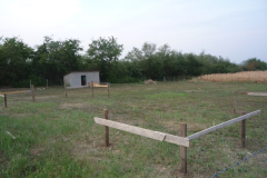 2011-09-19-6.jpg