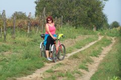 2014-09-06-Bartos-emlektura-014.jpg