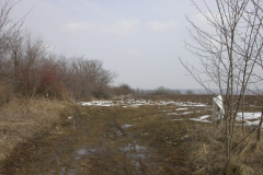 2006-03-15-3.jpg